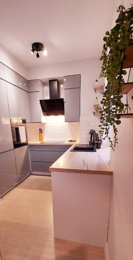 Apartmán White Velvet Gorzów Wielkopolski Exteriér fotografie